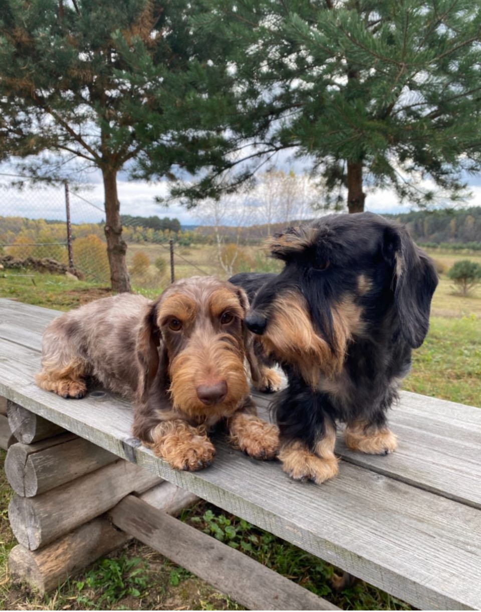 Берег Мечты — фото 3