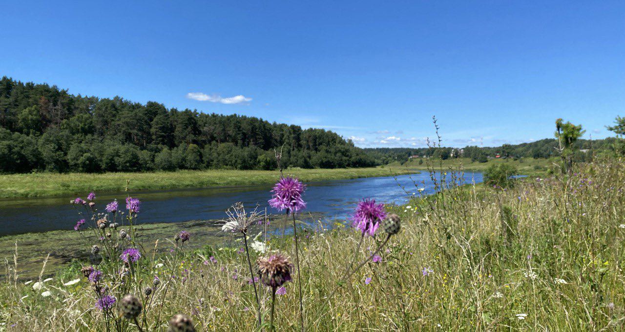 Берег Мечты — фото 9