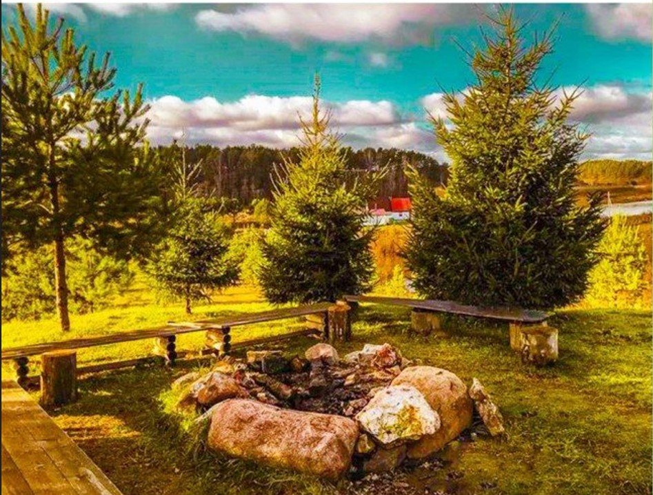 Лето начинается в марте! 🌼🏡